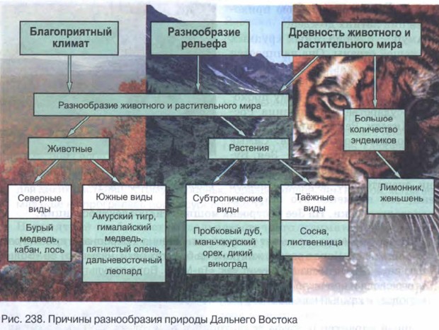 Реферат: География Тайланда: рельеф, климат, полезные ископаемые, флора и фауна